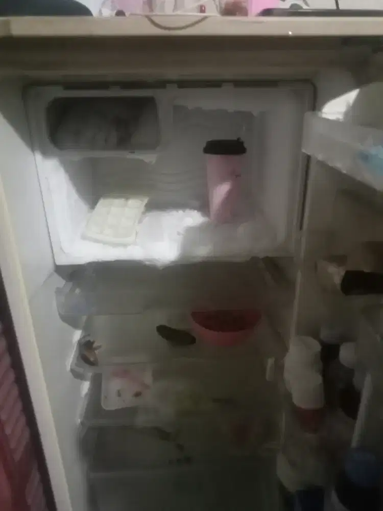 Kulkas satu pintu masih ok