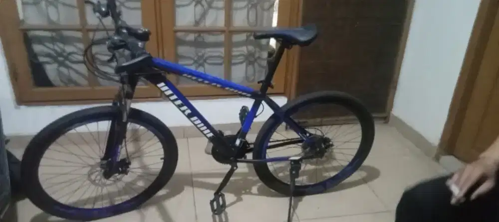 Sepeda gunung Inter Bike