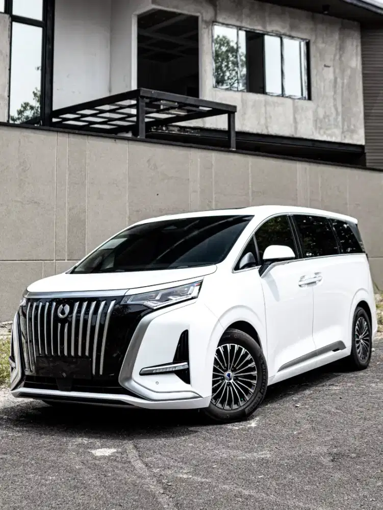 [Cash] BYD DENZA D9