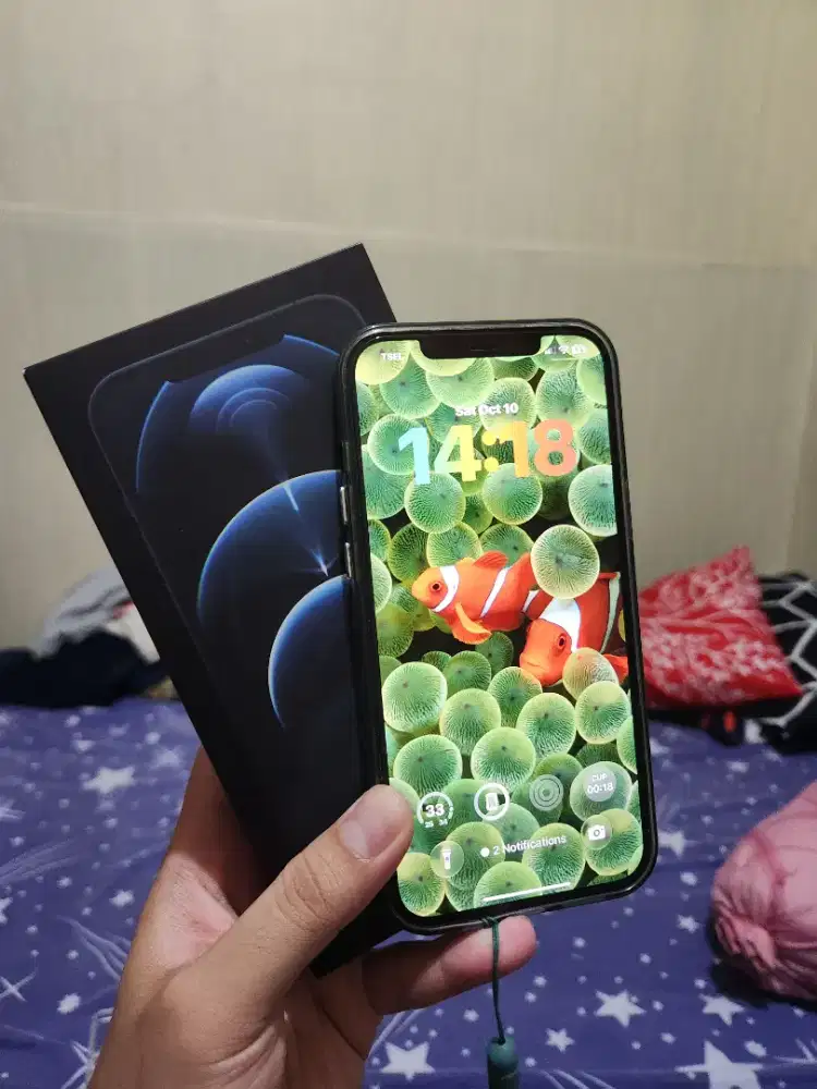 Iphone 12 Pro Max 256gb BEA CUKAI
