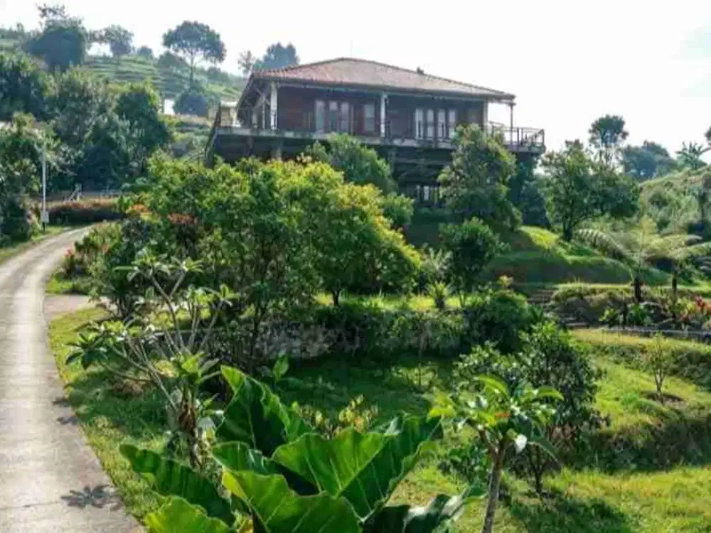 LAHAN 6.000 M² + BANGUNAN, VIEW CITY LIGHT & GUNUNG — CIJERUK, BOGOR