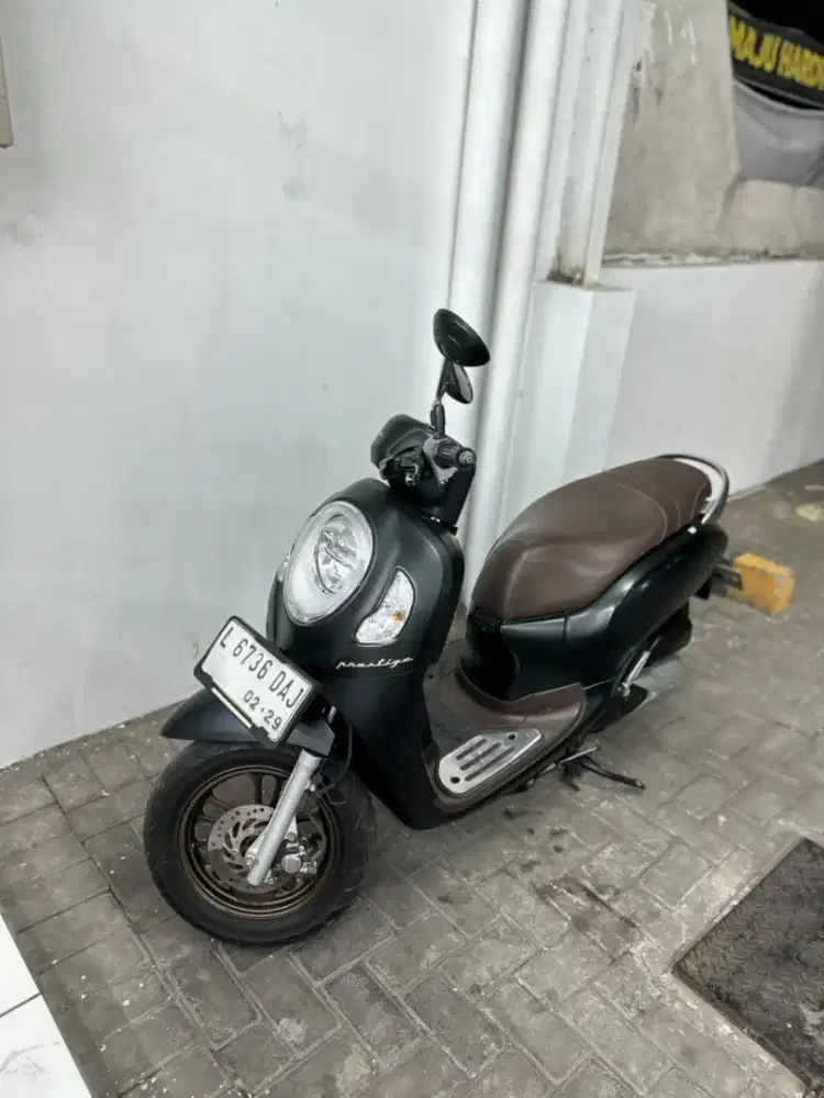 Scoopy pristage 2024