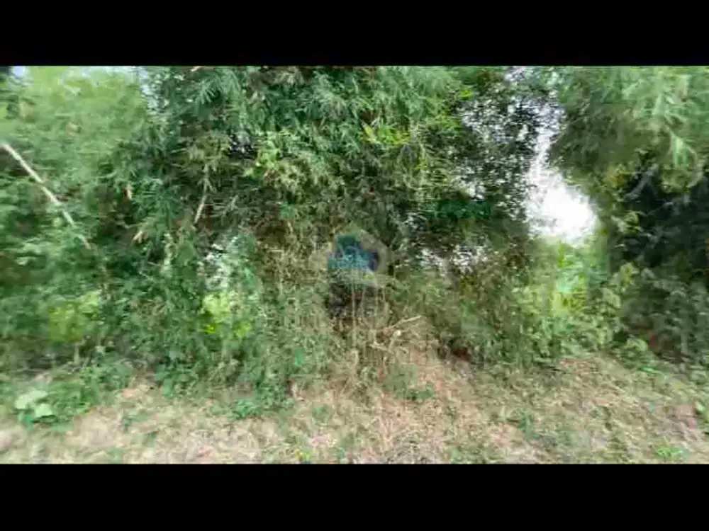 Jual Tanah Di Dangdang, Cisauk,
Tangerang - Banten