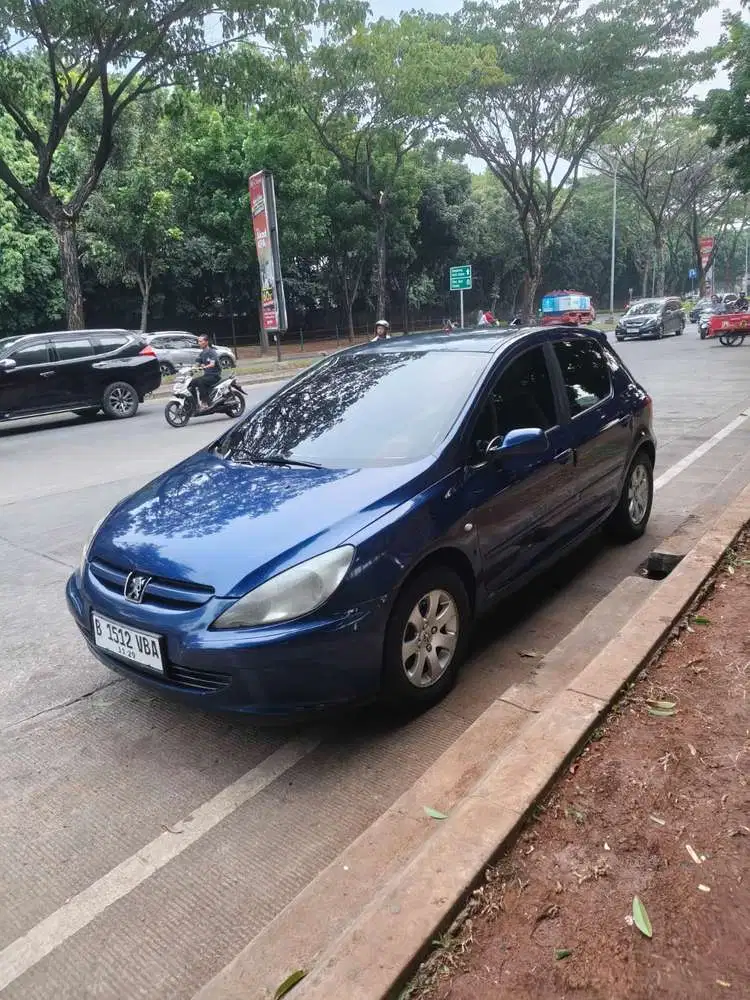 Peugeot 307 2004 Bensin