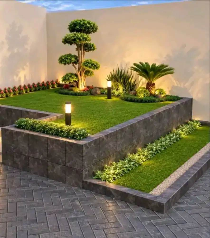 Jual rumput hias gajah mini