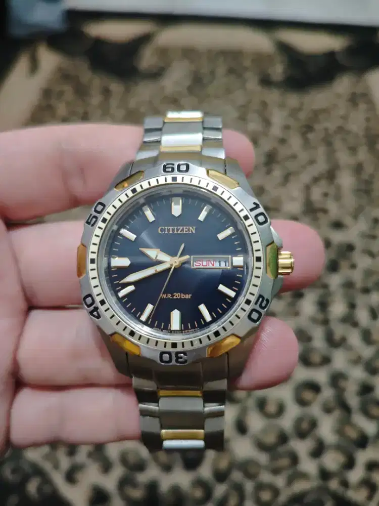 Citizen Eco Drive ( Solar ) Diver 200m