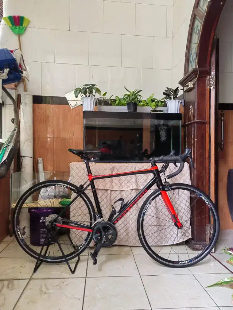 Polygon Strattos S3 2019