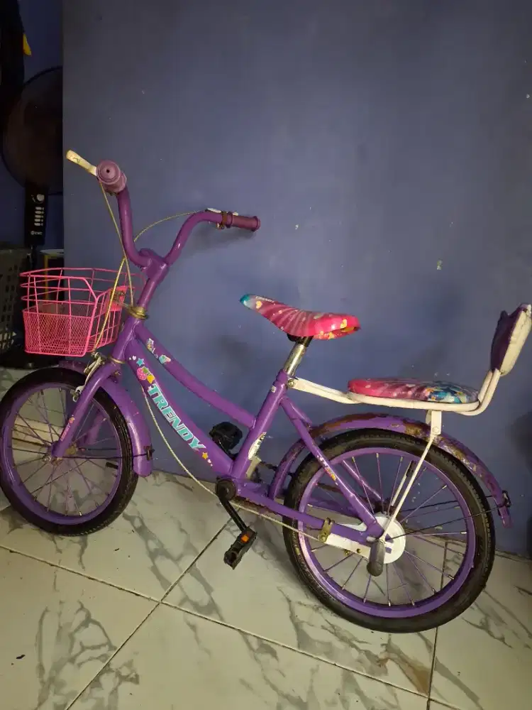 Sepeda anak 18 in
