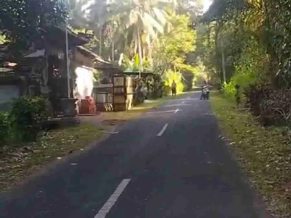 TANAH BUC  MURAH. ABIANSEMAL