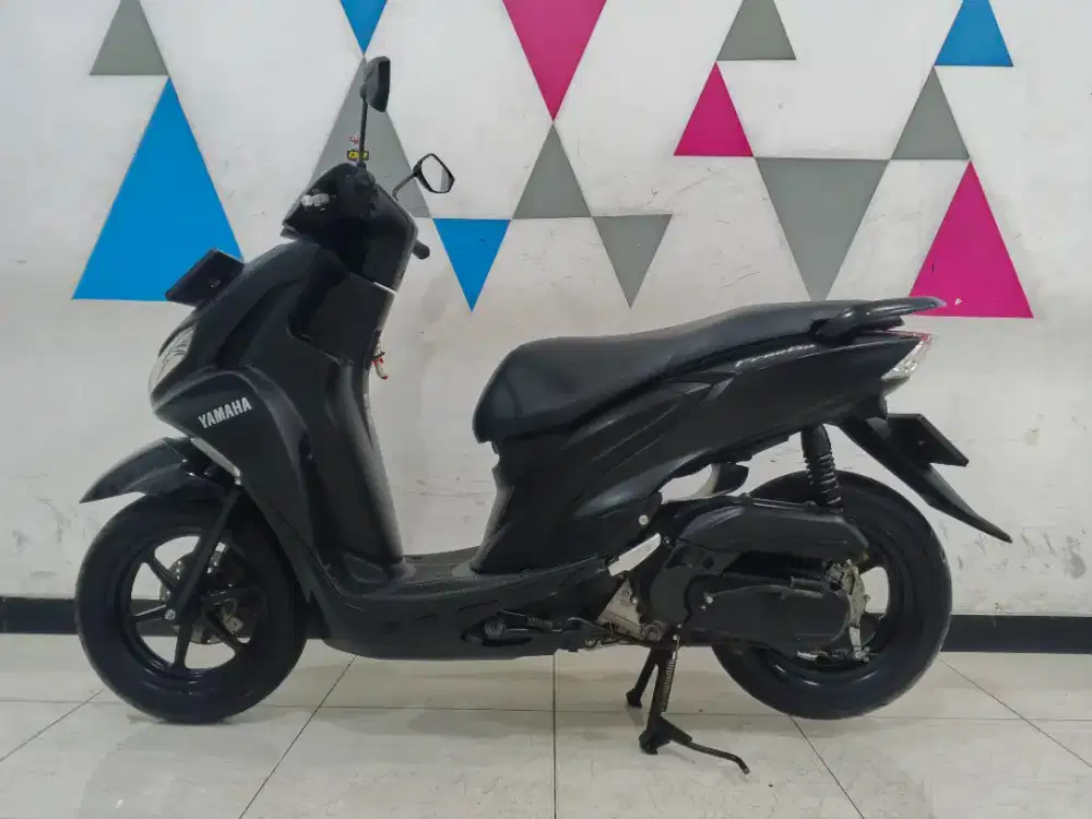 Freego tahun 2019