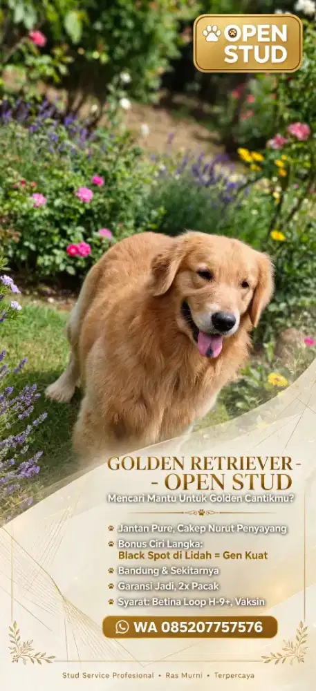 Golden RETRIEVER