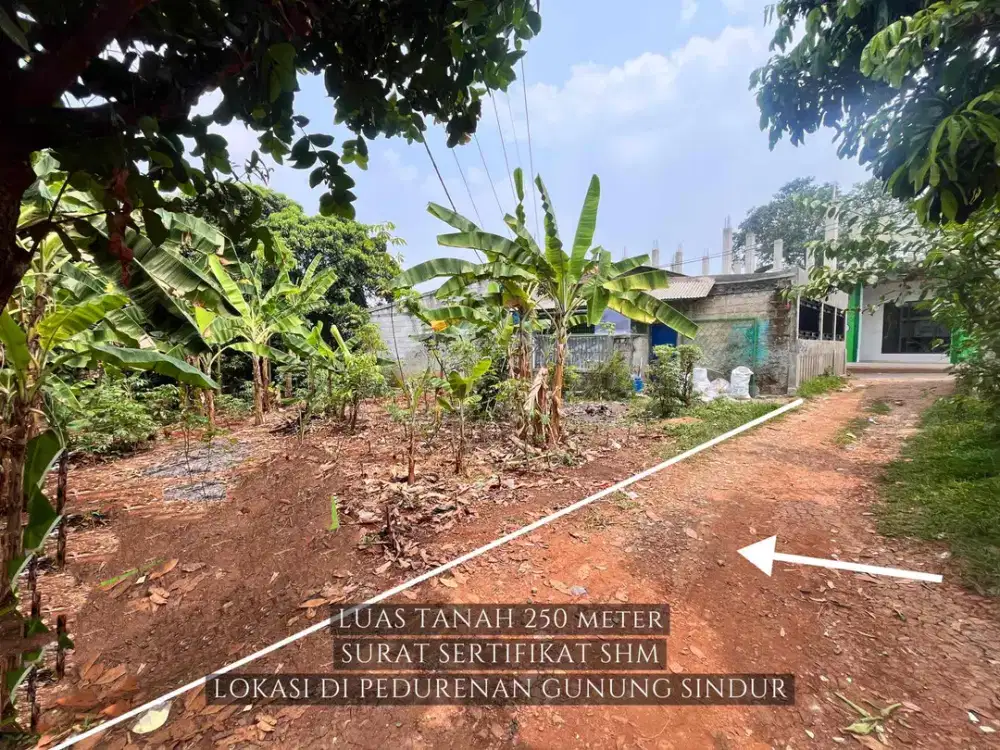 TANAH MURAH STRATEGIS SURAT SERTIFIKAT SHM DI PEDURENAN GUNUNG SINDUR