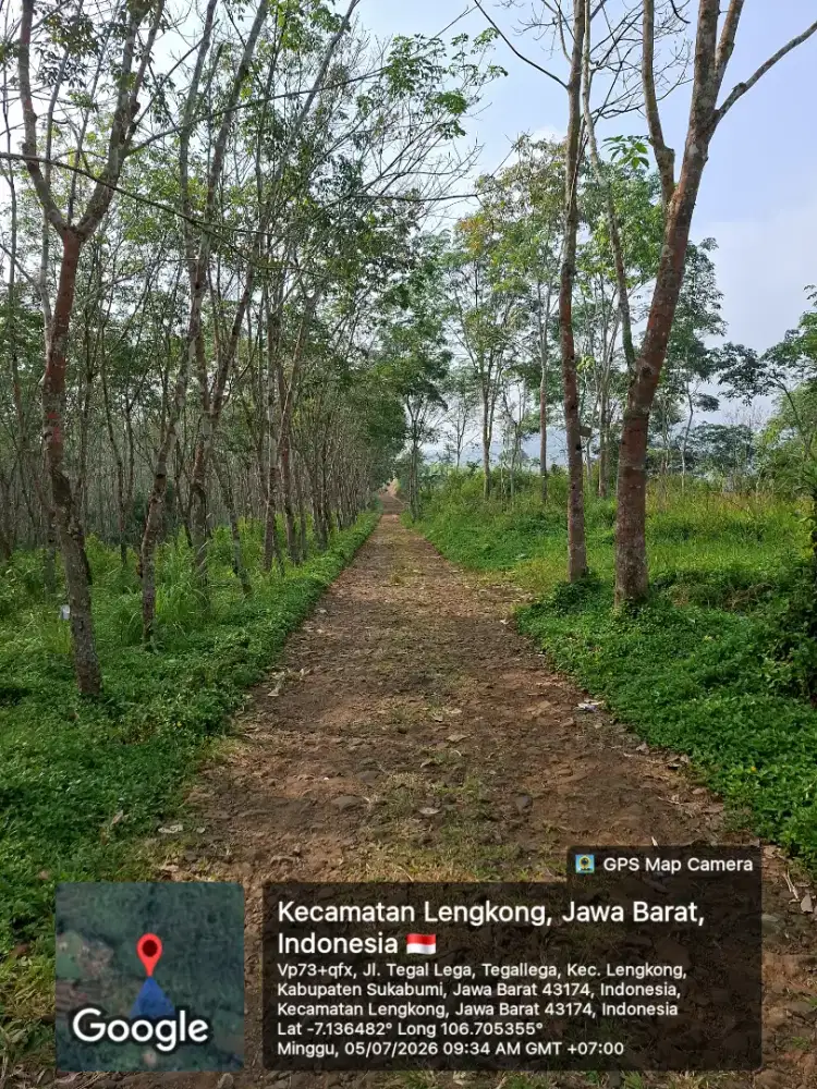 KEBUN KARET PERIBADI