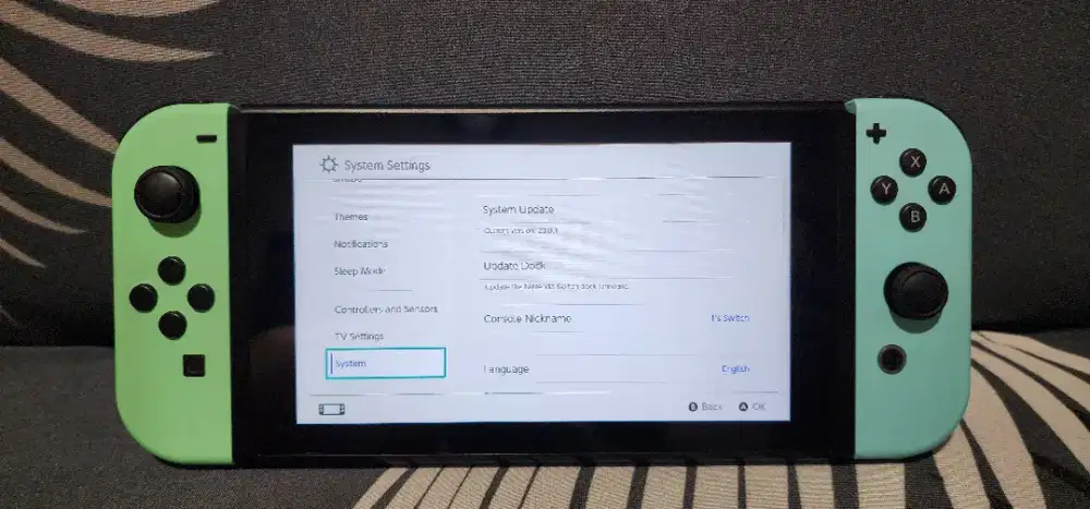 Nintendo Switch V2 Animal Crossing OFW