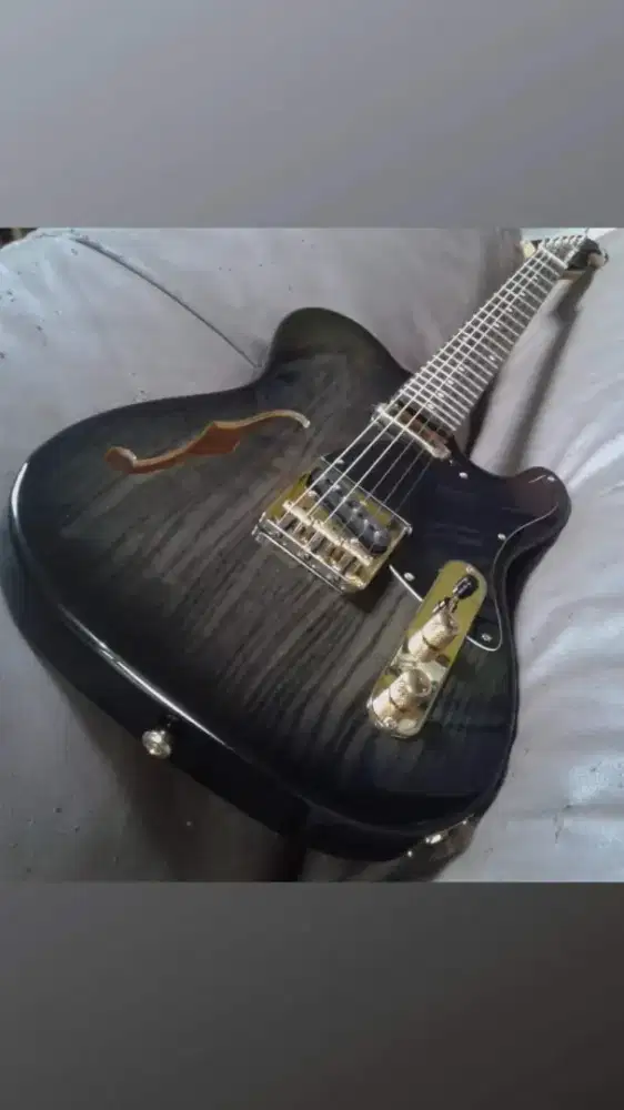 Gitar Elektrik Original Thinline Telecaster