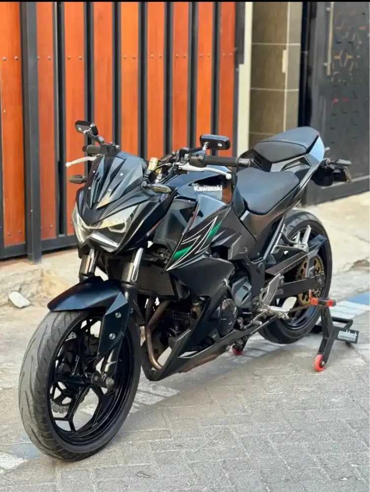 Kawasaki Z-250 CC