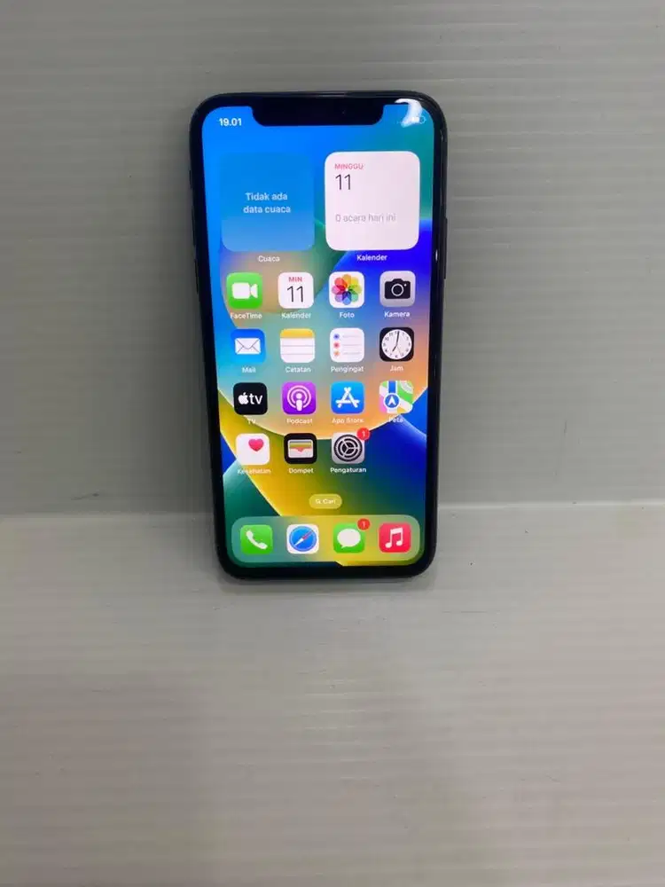 Iphone X 64gb unit charger only
