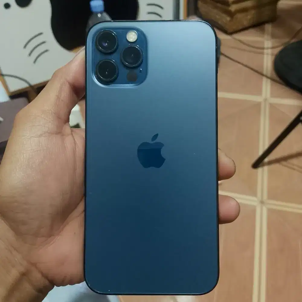 iPhone 12 pro 128gb inter alloprator segel mulus