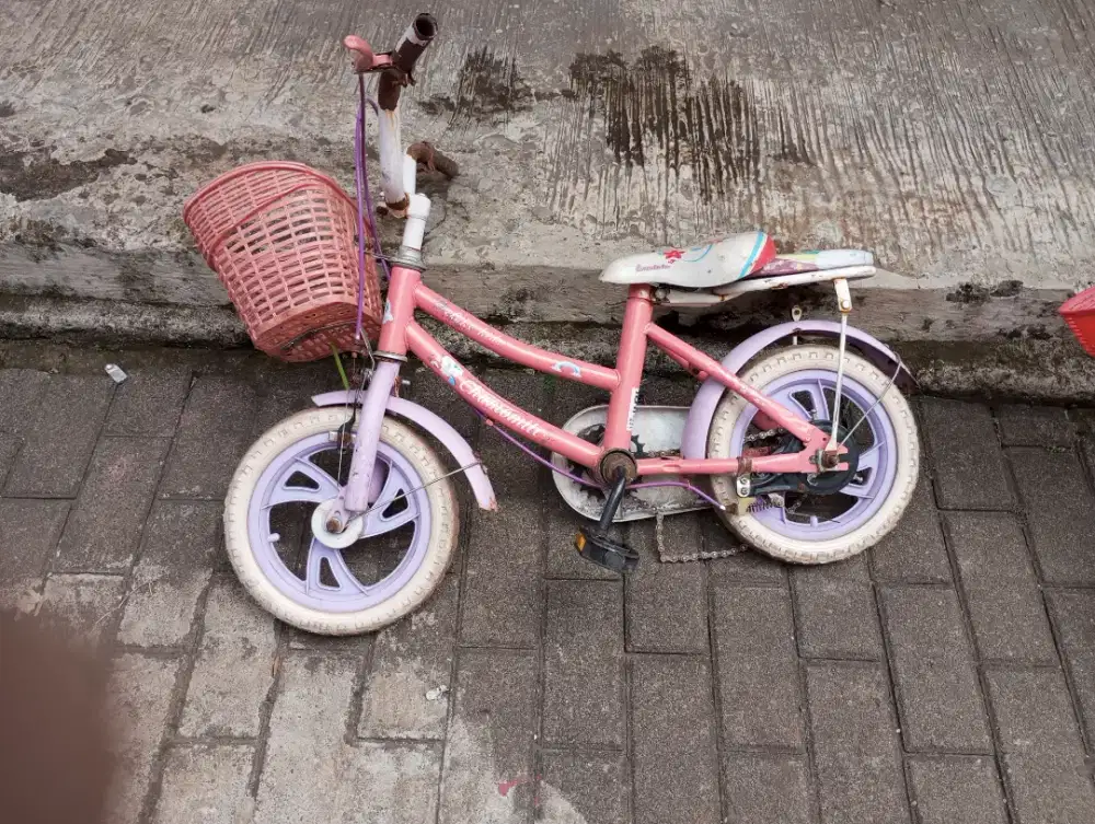 Sepeda anak rida dua dan tiga