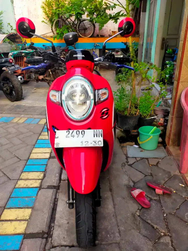 Scoopy 2020 pajak hidup