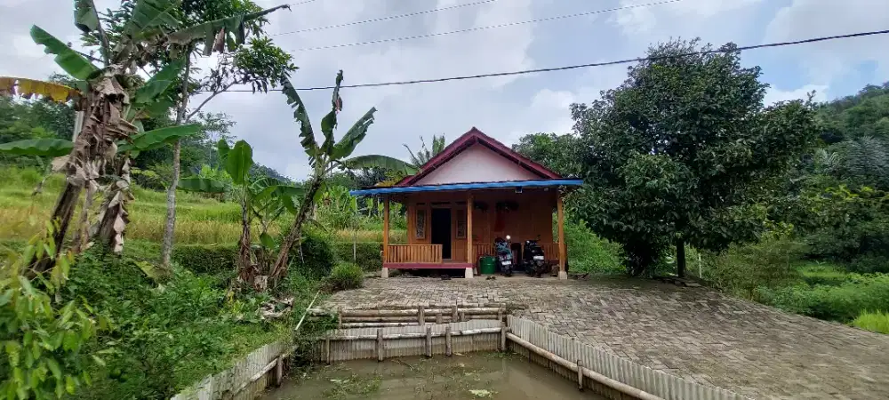 Villa Indah dan sejuk dikelilingi sawah dan bukit
