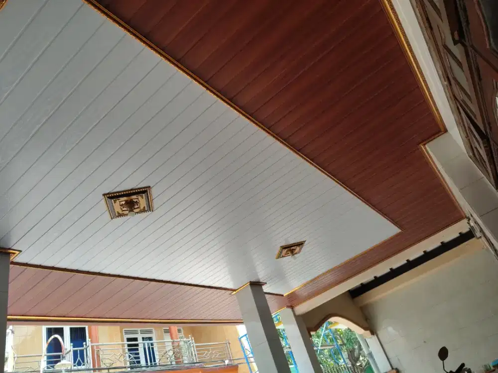 Plafon gypsum, pvc, dan partisi