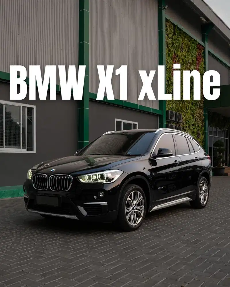 BMW X1 sDrive xLine Panoramic 2017