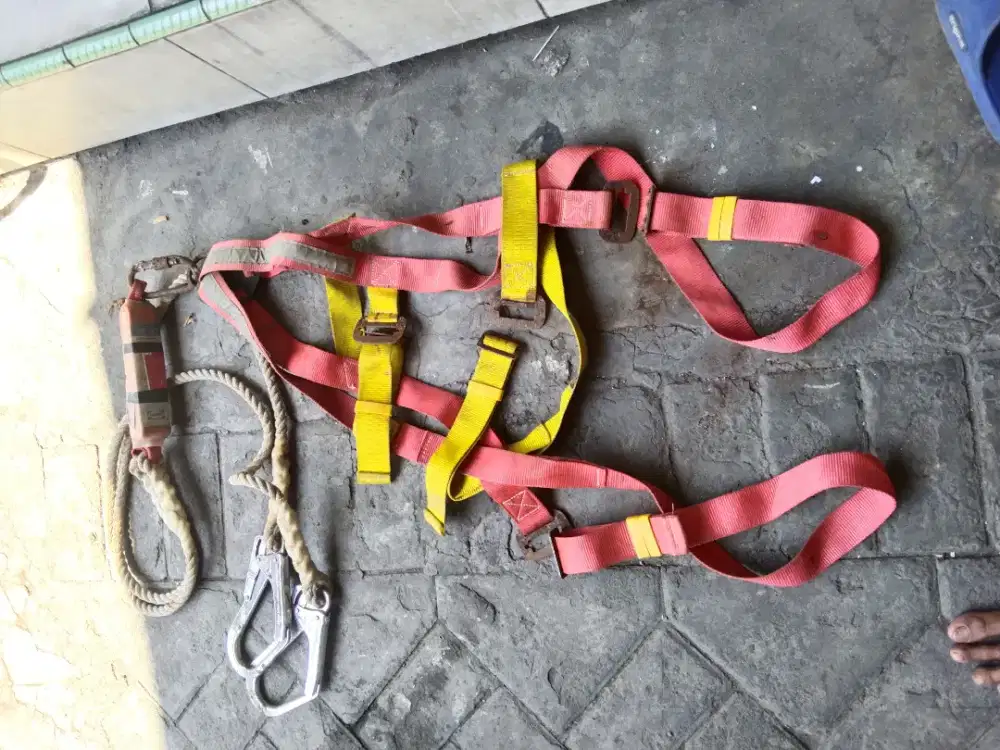 Body harness / safety belt