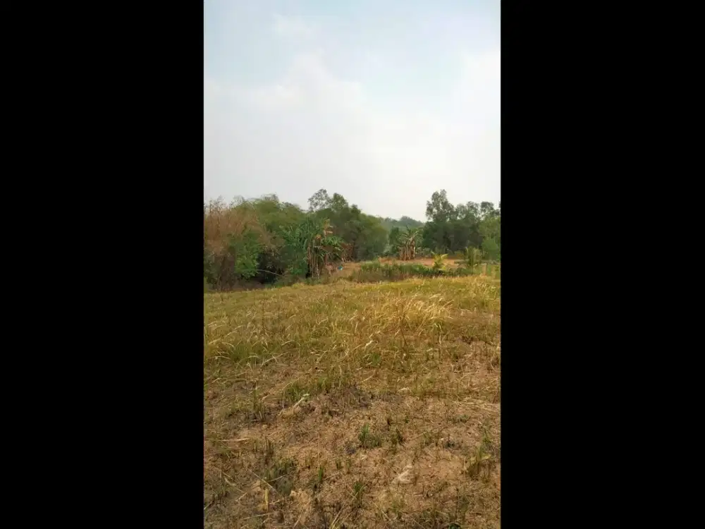Dijual Tanah Luas 2000m & 3000m Jonggol Cocok Buat Villa Resto Wisata Akses Mobil