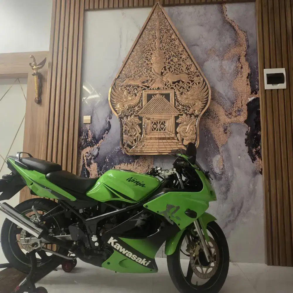 Kawasaki ninja RR SE