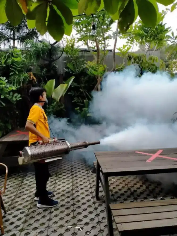 Jasa anti rayap dan pest control