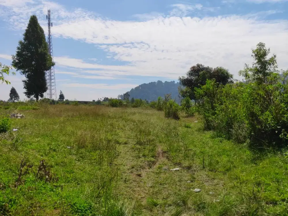 dijual Tanah Villa  jalan utama Argapuri Gambung Ciwidey Bandung