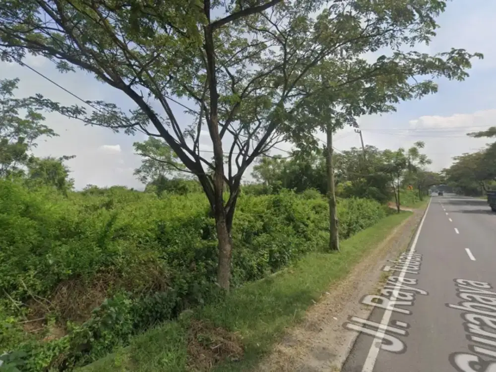 Tanah Industri Komersial Nol Jl Provinsi Raya Tuban Babat Widang