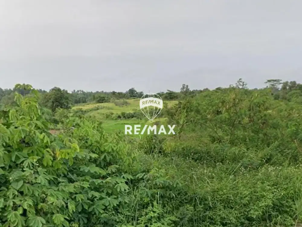 DIJUAL TANAH PINGGIR JALAN UTAMA DI DAERAH TIGARAKSA TANGERANG