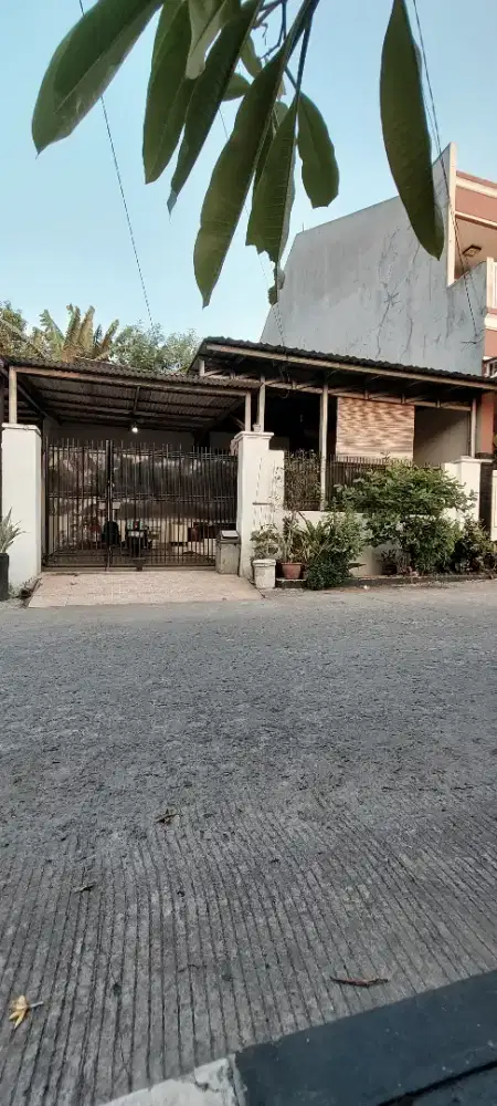 Disewakan/dijual  rumah hadap taman bebas banjir