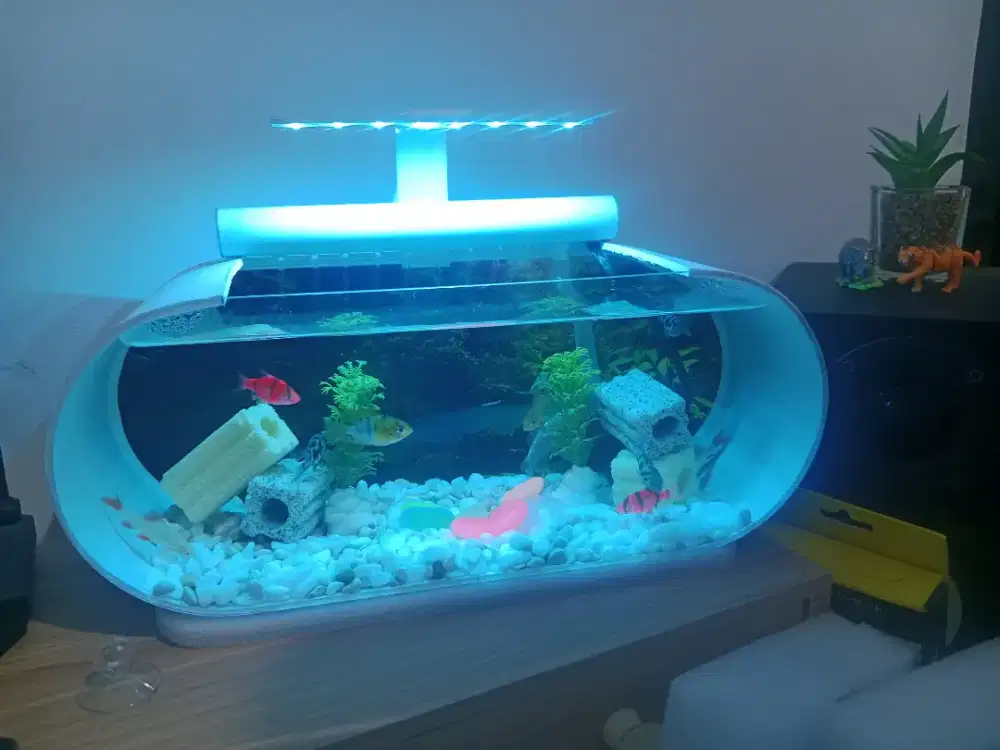 Aquarium mini hiasan meja
