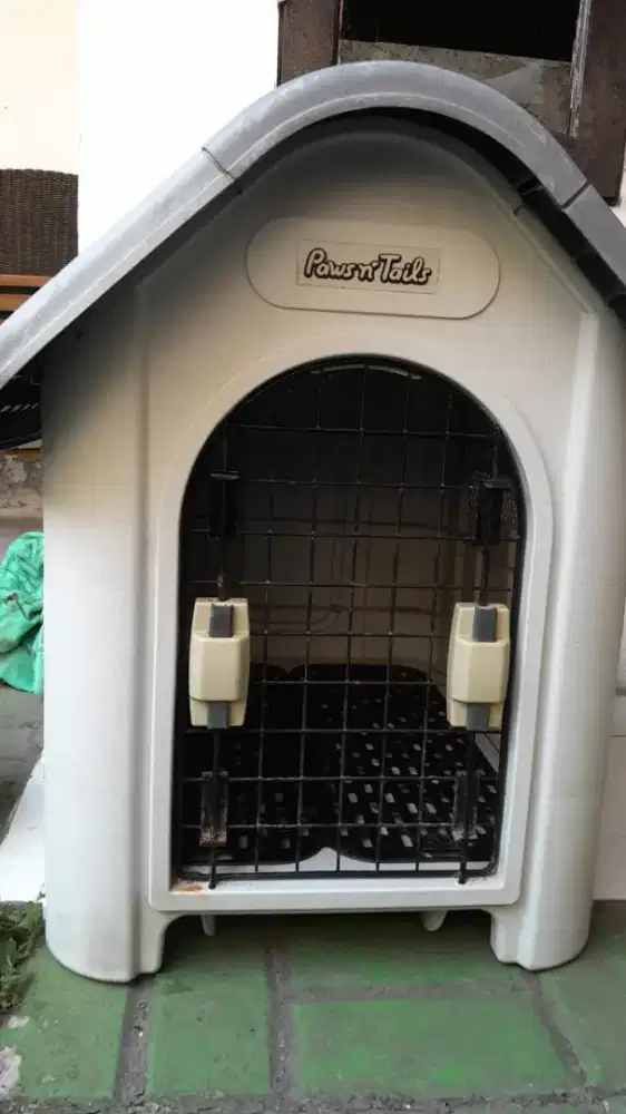 Rumah anjing secound