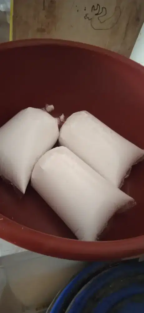 Santan kelapa murni