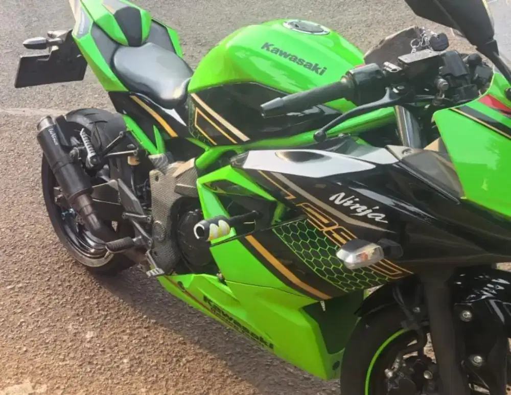 Ninja 250 SL Mono 2019 Full Paper + Modif + Remap