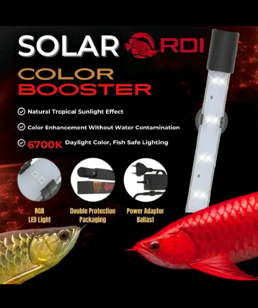 Lampu tanning arwana
