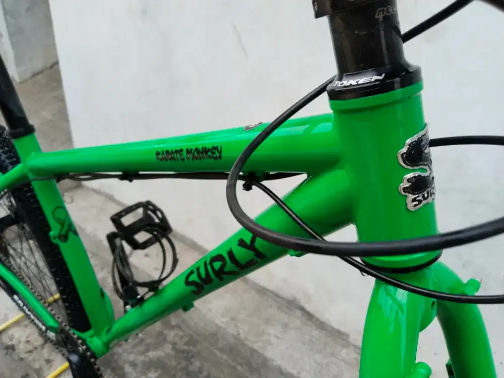 Surly karate monkay