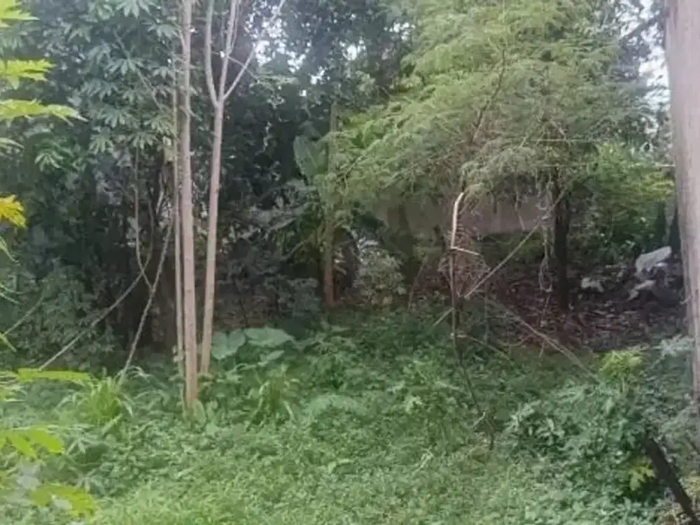 Dijual Tanah di sayap Sukajadi Cocok untuk dibangun rumah tinggal, kos-an atau gudang