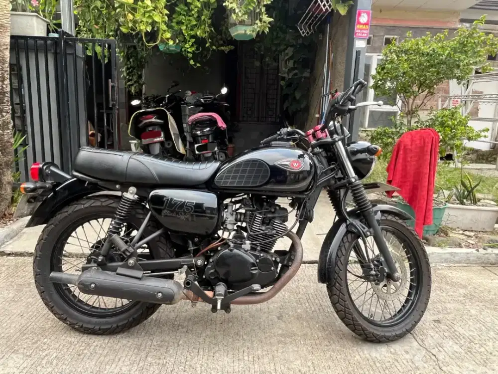 For Sale Kawasaki W175 SE Black Style 2022
