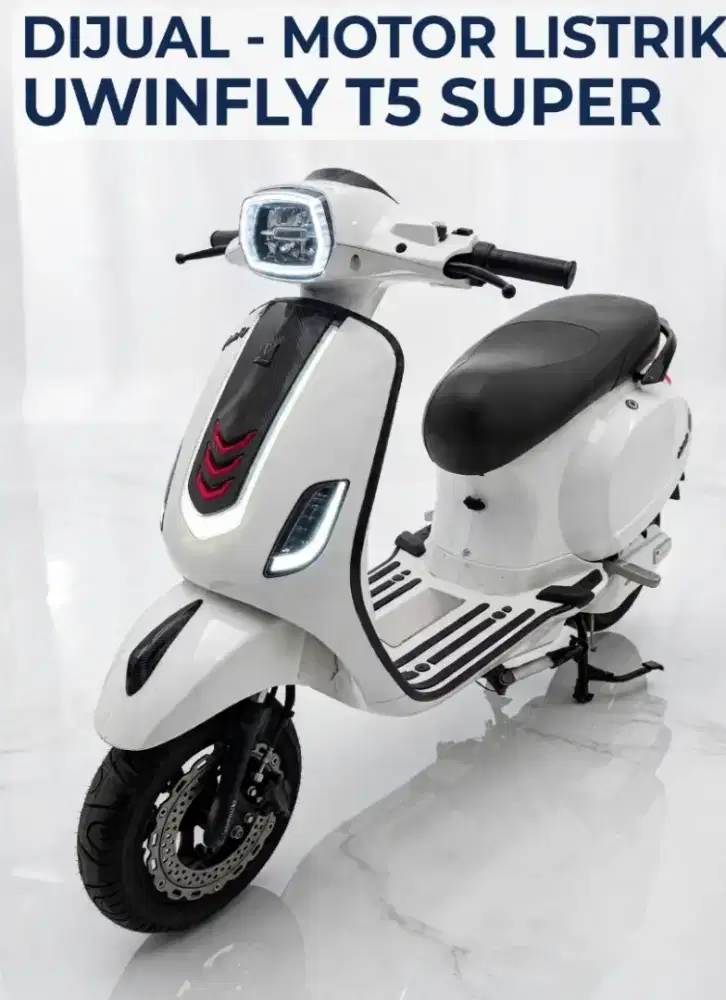 MOTOR LISTRIK UWINFLY