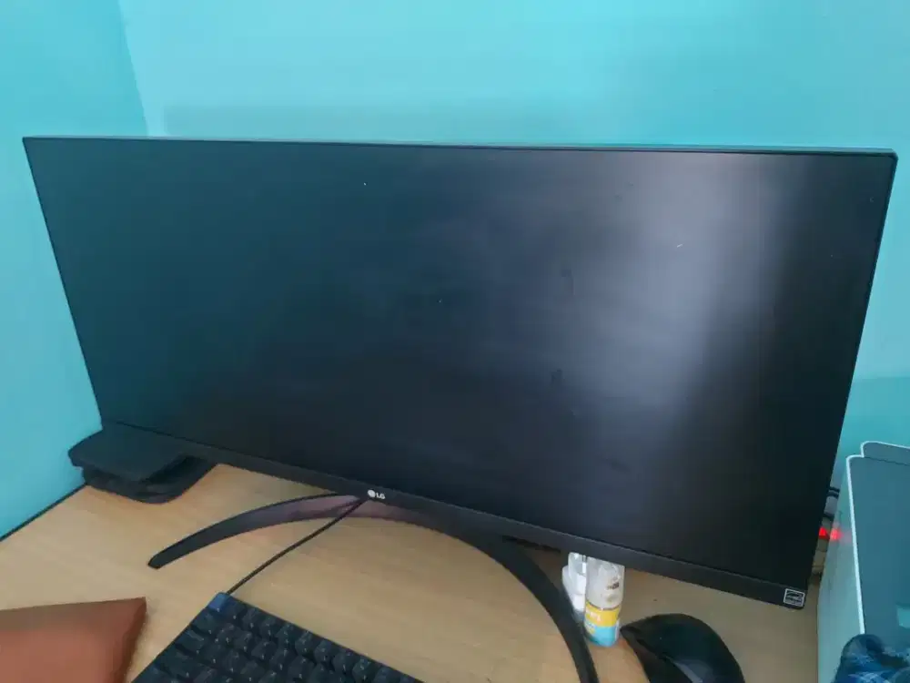 MONITOR LG 29 ins Wide gress