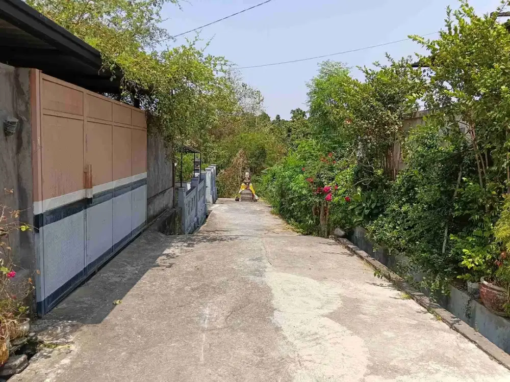 Tanah Los Sungai Didalam Kota Singaraja
