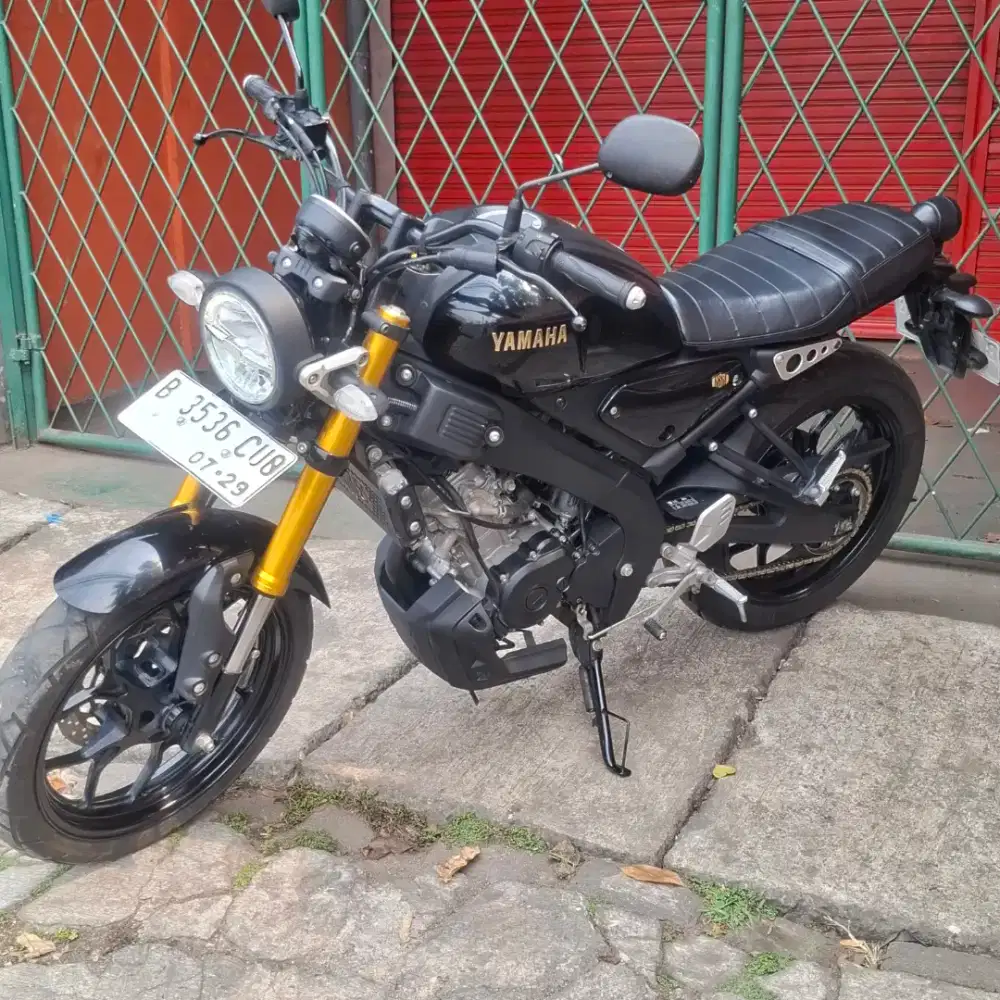 Yamaha xsr 155 2024 dp 500rb