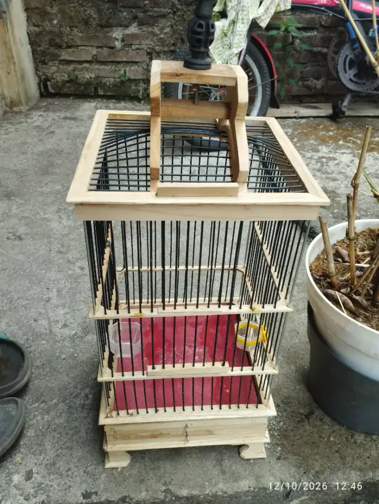 Kandang Burung Kecil