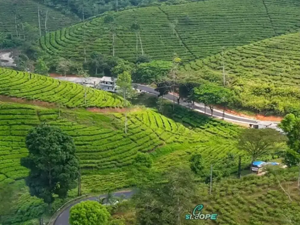Dijual Lahan 1.700 Hektar Cianjur Selatan