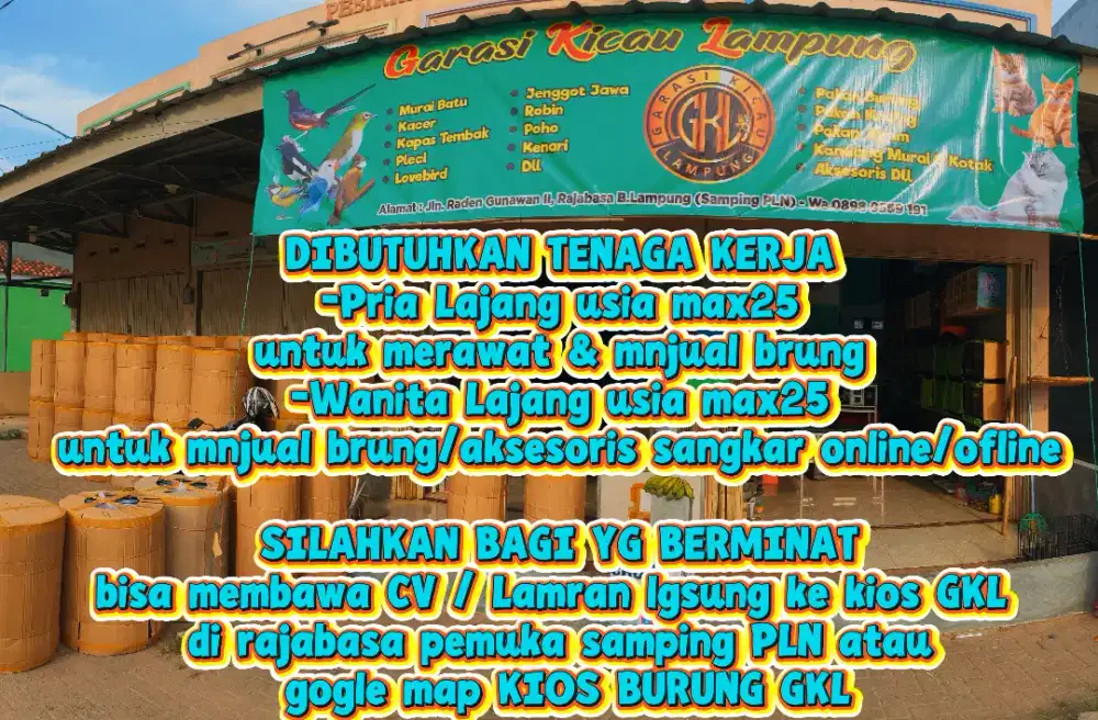 Loker lowongan kerja wanita pria